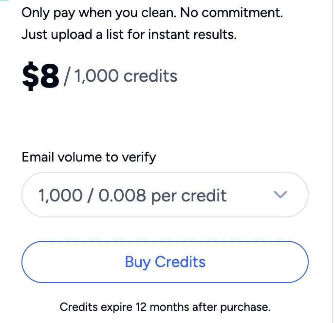 NeverBounce pay-as-you-go pricing card showing $8 per 1,000 credits and the line Credits expire 12 months after purchase